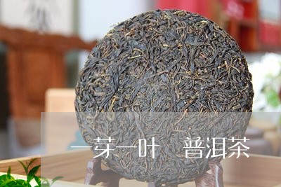 一芽一叶 普洱茶/2023033168683